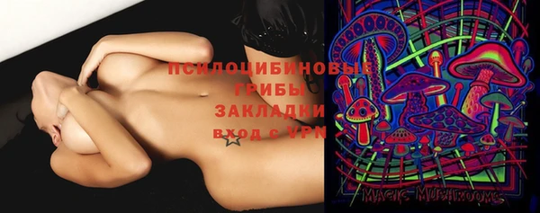 тгк Абинск