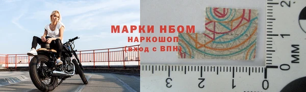 твердый Абаза