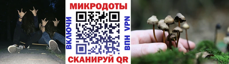 где купить наркоту  блэк спрут маркетплейс  Галлюциногенные грибы мухоморы  Янаул 